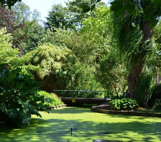 TU Delft Hortus Botanicus, Netherlands